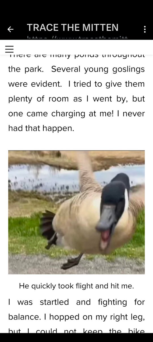 tracethemitten's tweet photo. Read about my goose attack.
#tracethemitten https://t.co/KvuIIiu6Y6