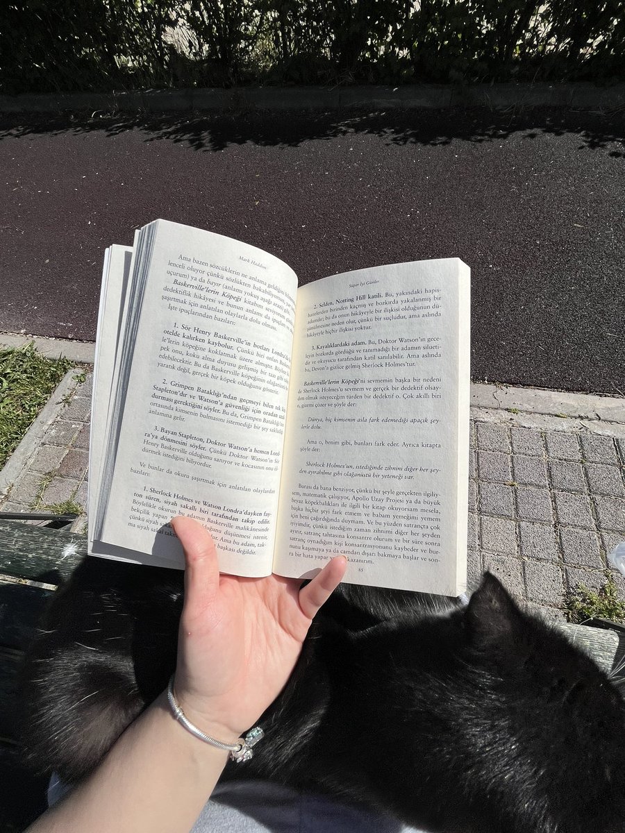 CinnamonChuck's tweet photo. Bu akşamüstü. Bahar çiçekleri, kitabım ve kucağımda bana eşlik eden kedi https://t.co/FjtilYeDYL