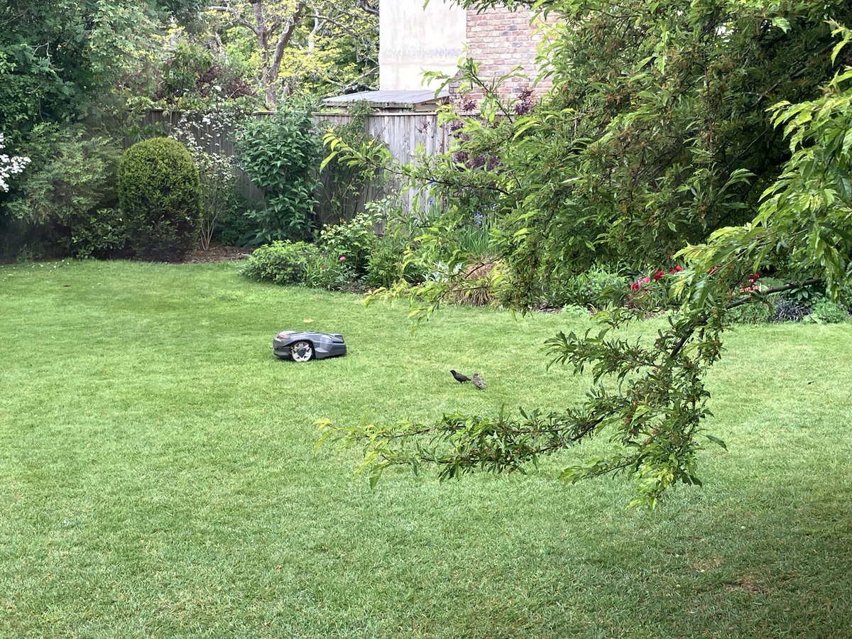 Bentley Mower tweet media