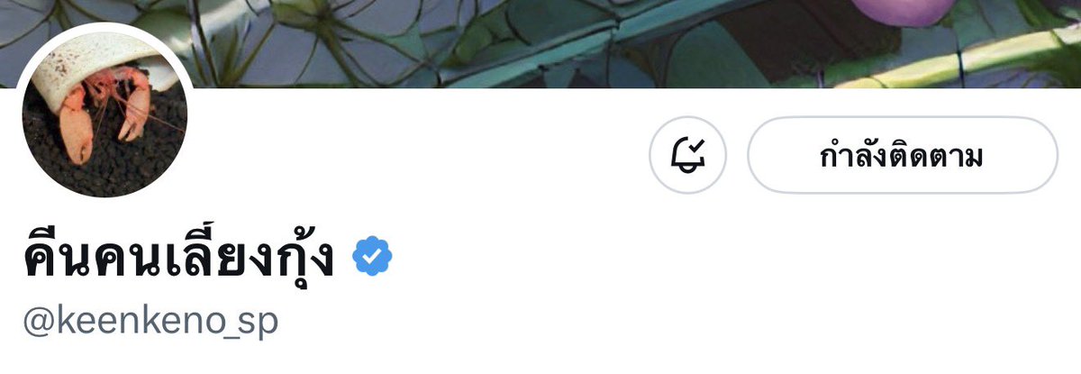 ᴘᴏʀᴘᴏʀ 🦭🦞✿◞ tweet media