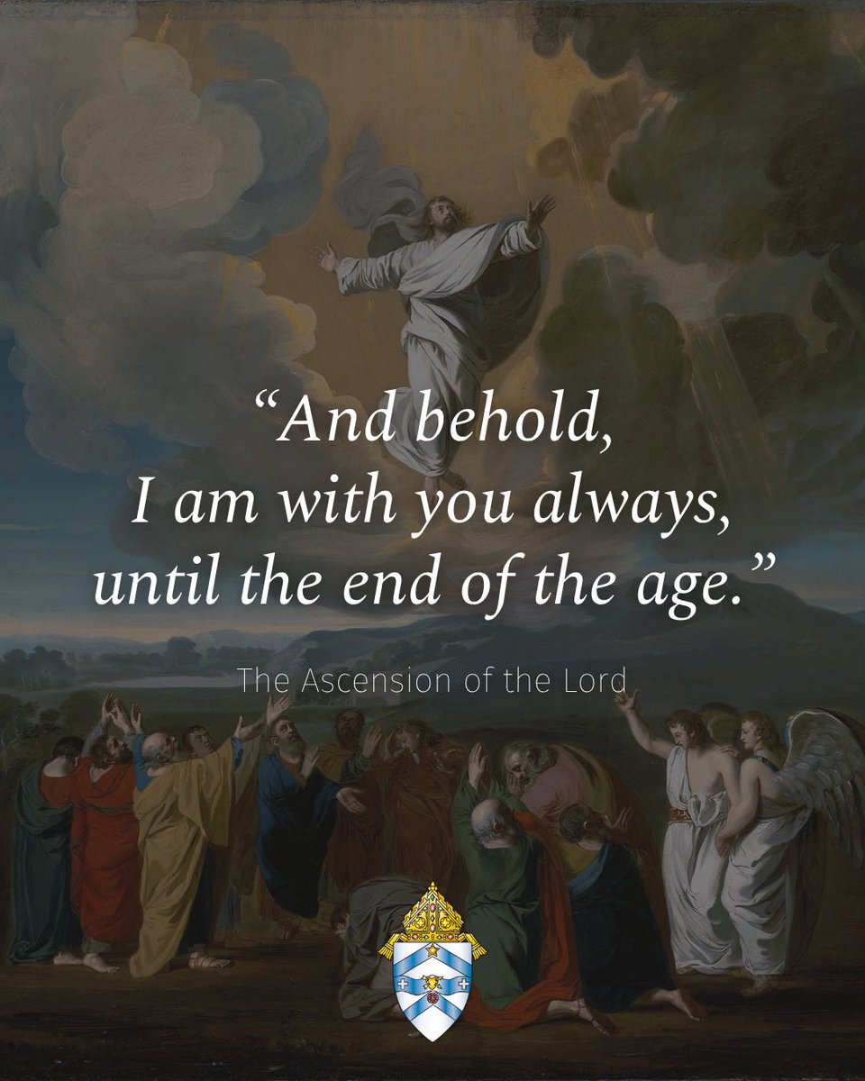 Diocese of Austin tweet media