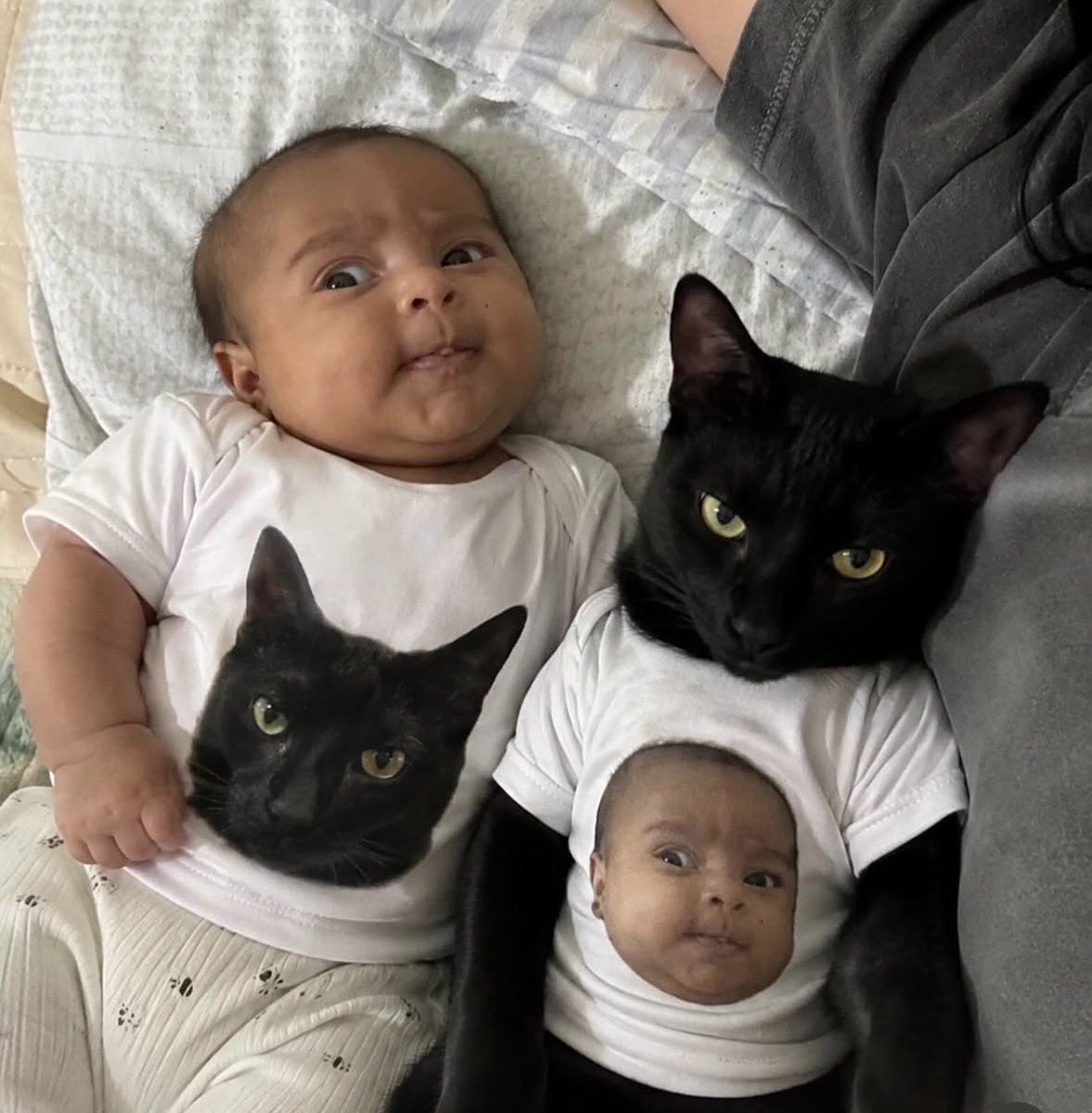 Black cats are not bad luck tweet media