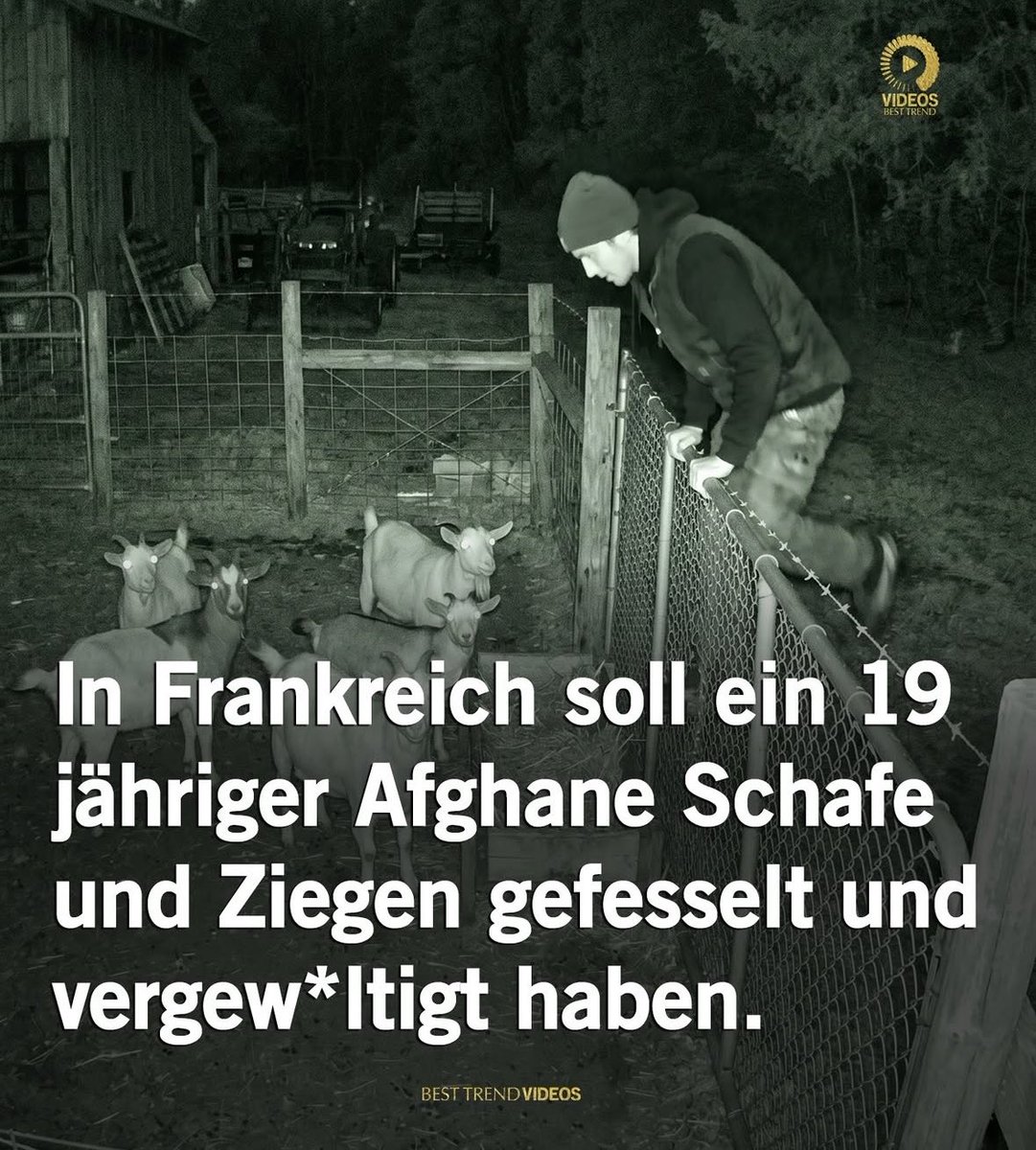 ℂ𝕦𝕓𝕒 🇩🇪 tweet media