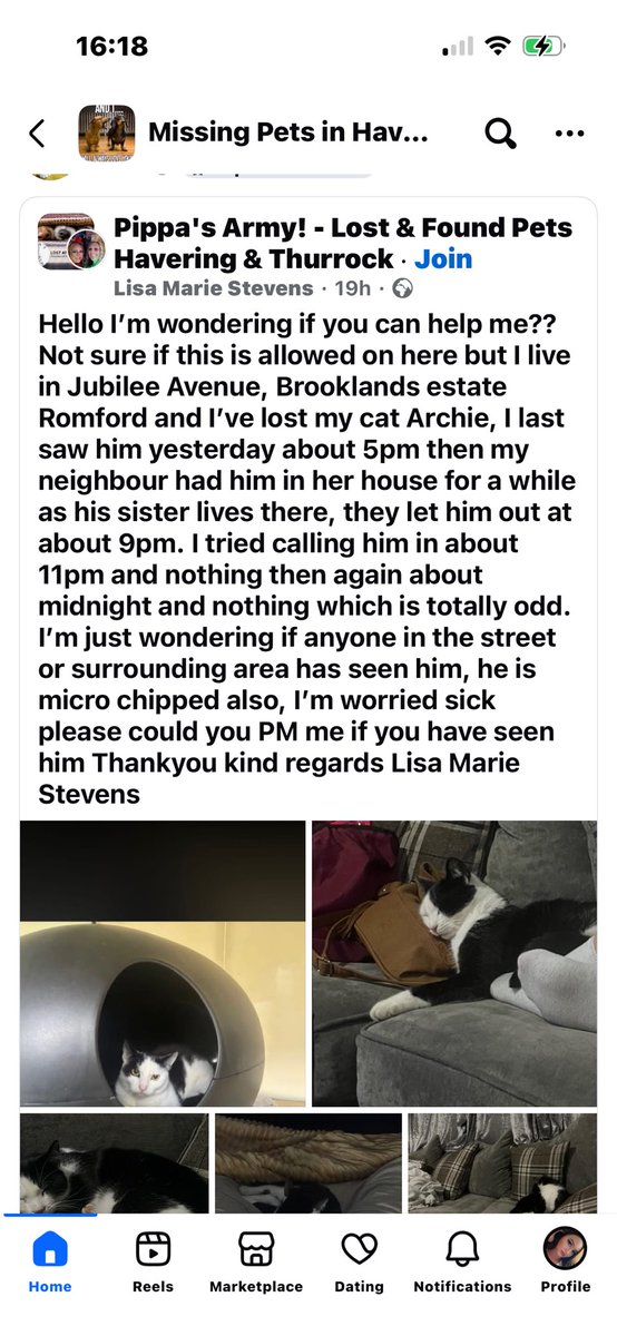 DivinePetLink's tweet photo. WARNING ⚠️ POTENTIAL REPEATING PET THEFT  CAR in #Romford #HaroldHill #London close to #Brentwood 

This particular car is continuously parked on Camborne Avenue in Harold Hill watching pet owners walking their dogs. BEWARE ⚠️ don’t let your cats out at night ‼️ https://t.co/sJtQ3zzwOR