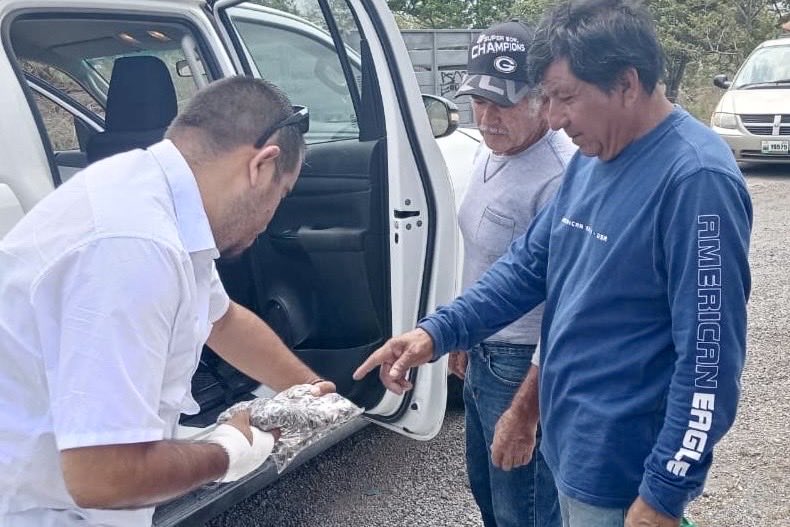 RuralTam_mx's tweet photo. Como parte de las acciones para fortalecer la actividad ostrícola en Tamaulipas, personal de la Subsecretaría de Pesca y Acuacultura llevó a cabo la recepción y entrega de 150 mil semillas y ostrilla de ostión, en beneficio de productores de distintos municipios del estado. https://t.co/XG70yiATag