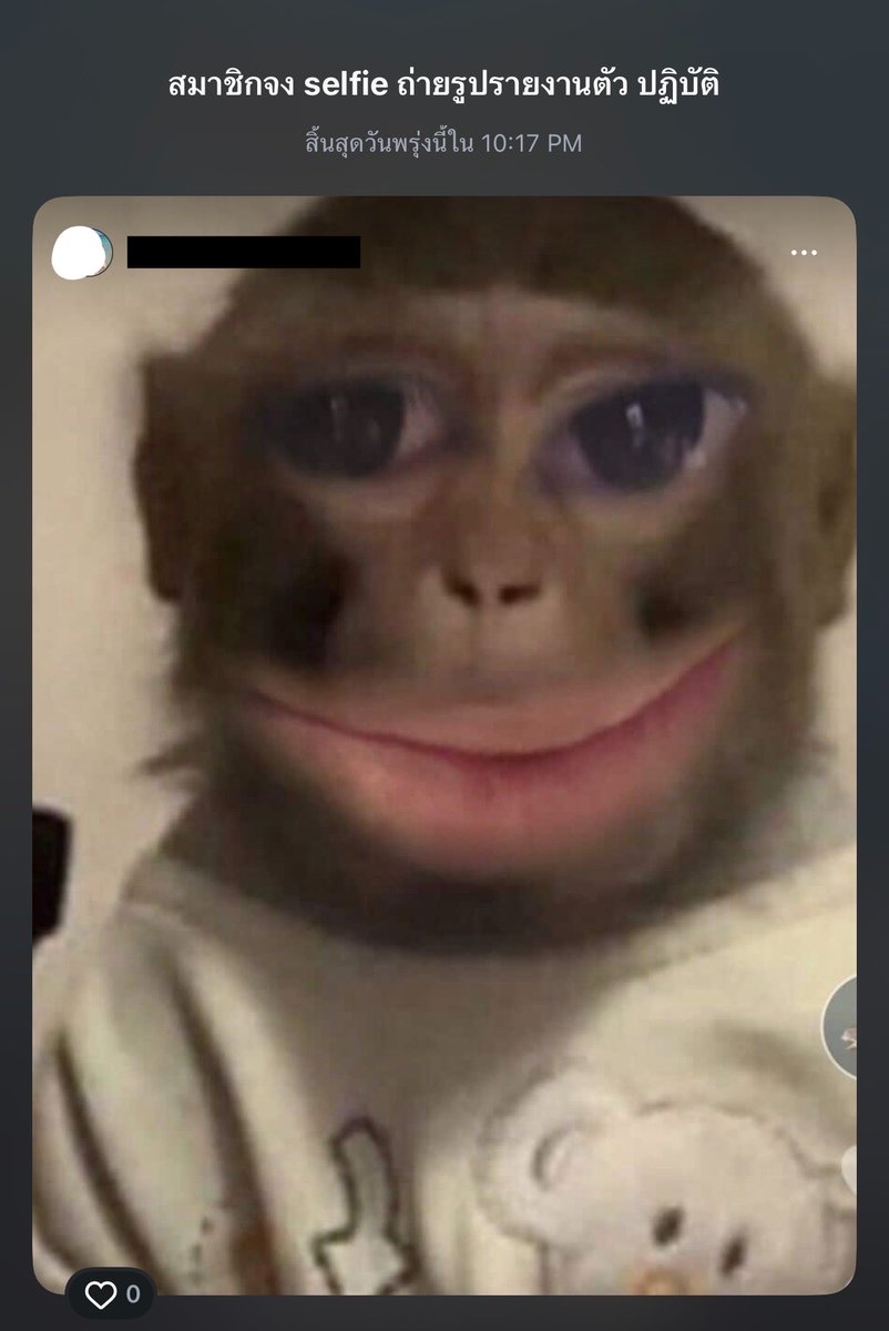 ⋆. 𐙚 ˚ ม า มิ tweet media