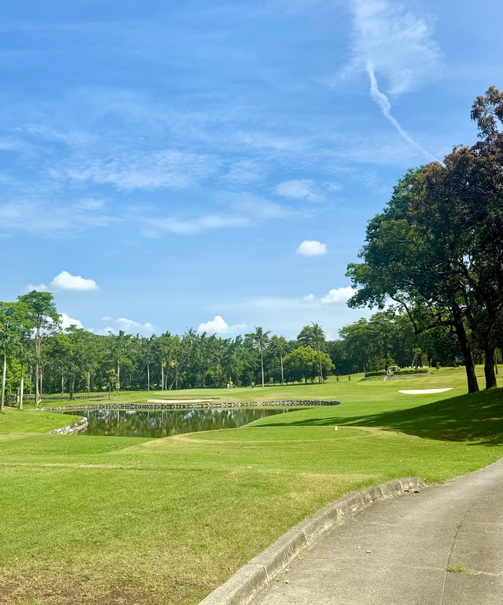 Ap6xM's tweet photo. 一桿進洞～⛳️ https://t.co/GvrxFXV3hB