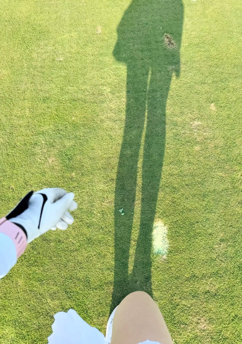 Ap6xM's tweet photo. 一桿進洞～⛳️ https://t.co/GvrxFXV3hB