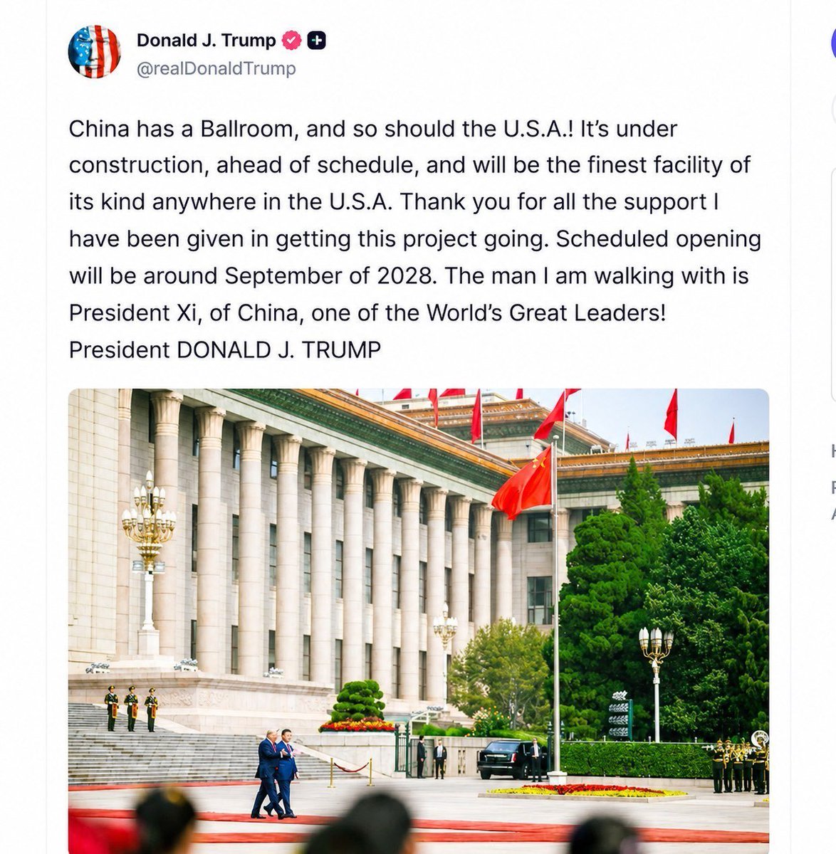 Tom Nichols tweet media