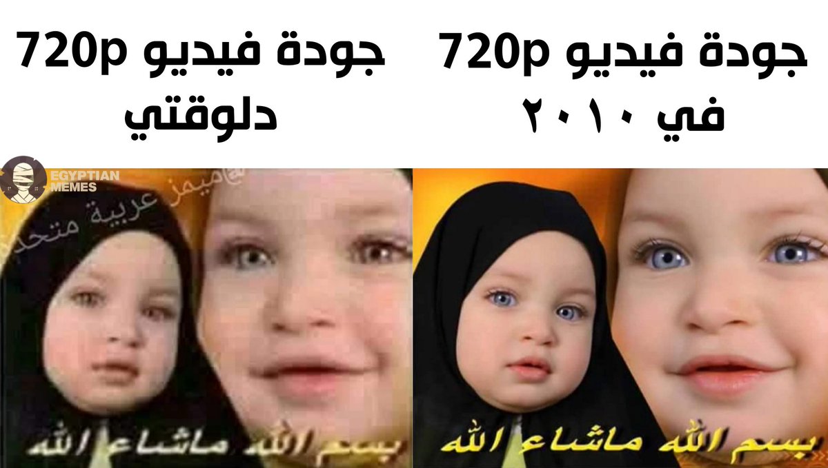 Egyptian Memes tweet media