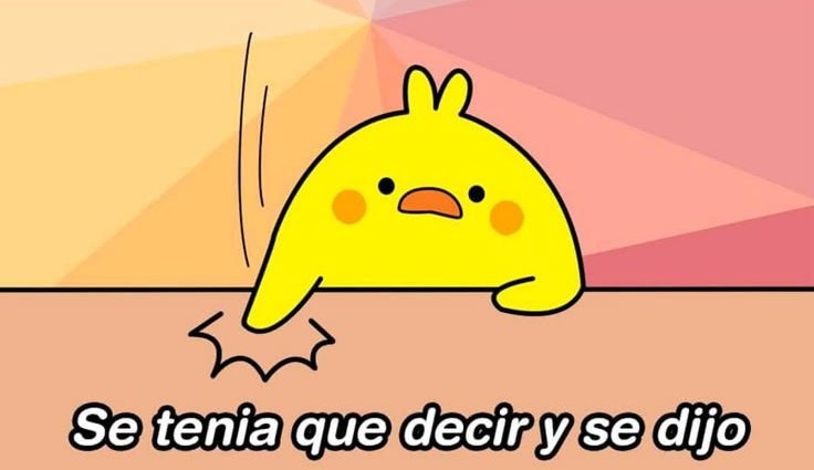 Andrea Suarez tweet media