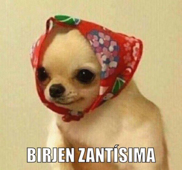 Cris99Guardado's tweet photo. Los 27 años están potentes...... https://t.co/aPHqH49YXh