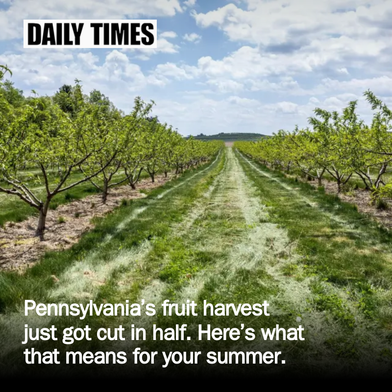 Delco Times tweet media