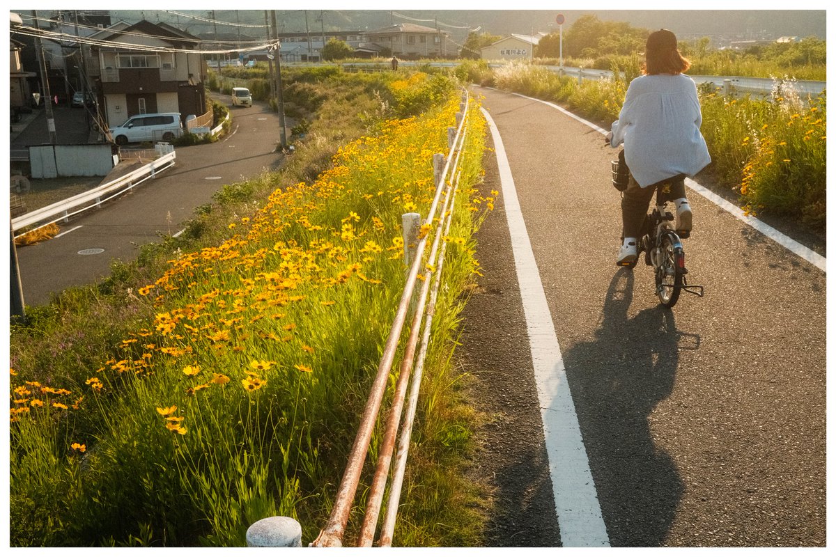 RAV422422's tweet photo. 山から白煙ってこれ!?···2026.05.15㈮

#サイクリング京都 
#fujifilm_x100v https://t.co/Ie0ngutuTJ