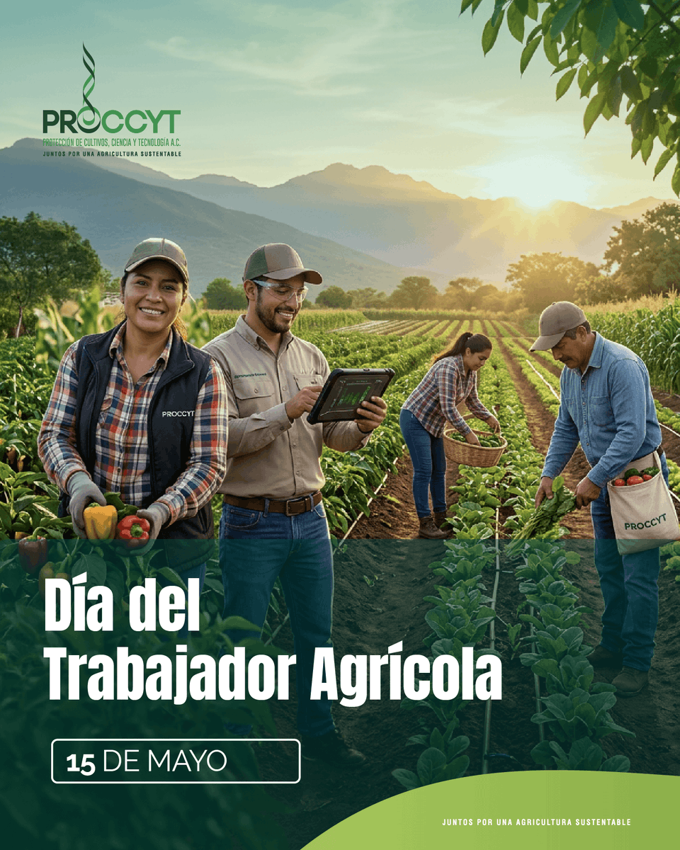 proccyt's tweet photo. En el Día del Trabajador Agrícola, reconocemos la labor de todas las personas que, con dedicación y compromiso, trabajan diariamente para fortalecer el campo mexicano y contribuir a la producción de alimentos de manera responsable y sostenible.

Su esfuerzo es clave para impulsar la productividad agrícola, el desarrollo de las comunidades rurales y la seguridad alimentaria de nuestro país.

En #PROCCYT refrendamos nuestro compromiso con impulsar la capacitación, las buenas prácticas y el bienestar de quienes forman parte del sector agroalimentario.

#DíaDelTrabajadorAgrícola
#JuntosPorUnaAgriculturaSustentable
#SomosPROCCYT