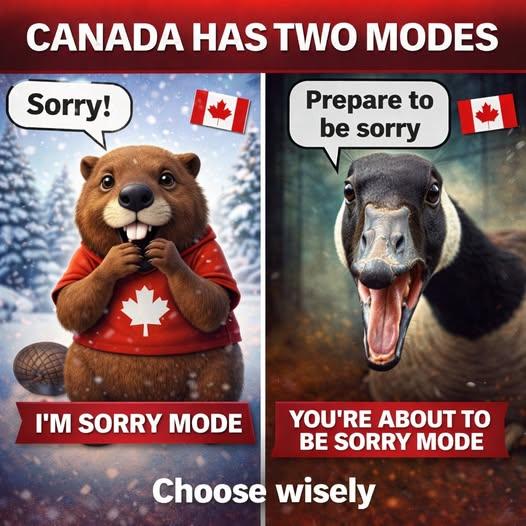 Conner Harley McDavidsonTM 🇨🇦 🇺🇦 🇬🇱 🇩🇰 tweet media