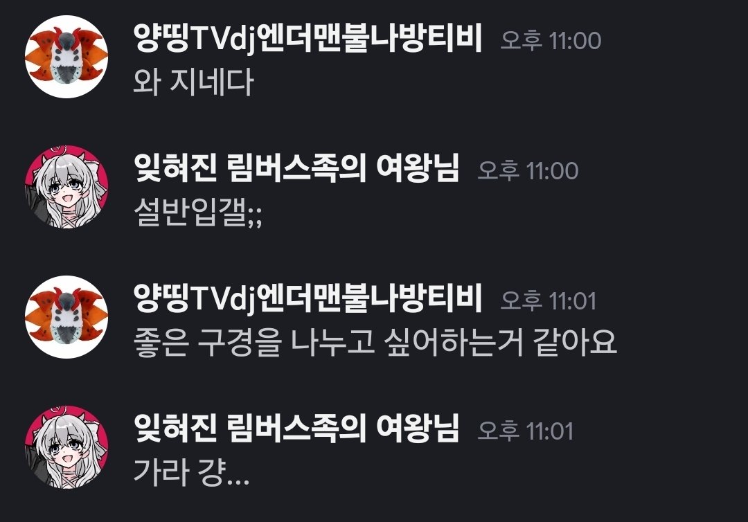 차원 여밈 고양이 tweet media