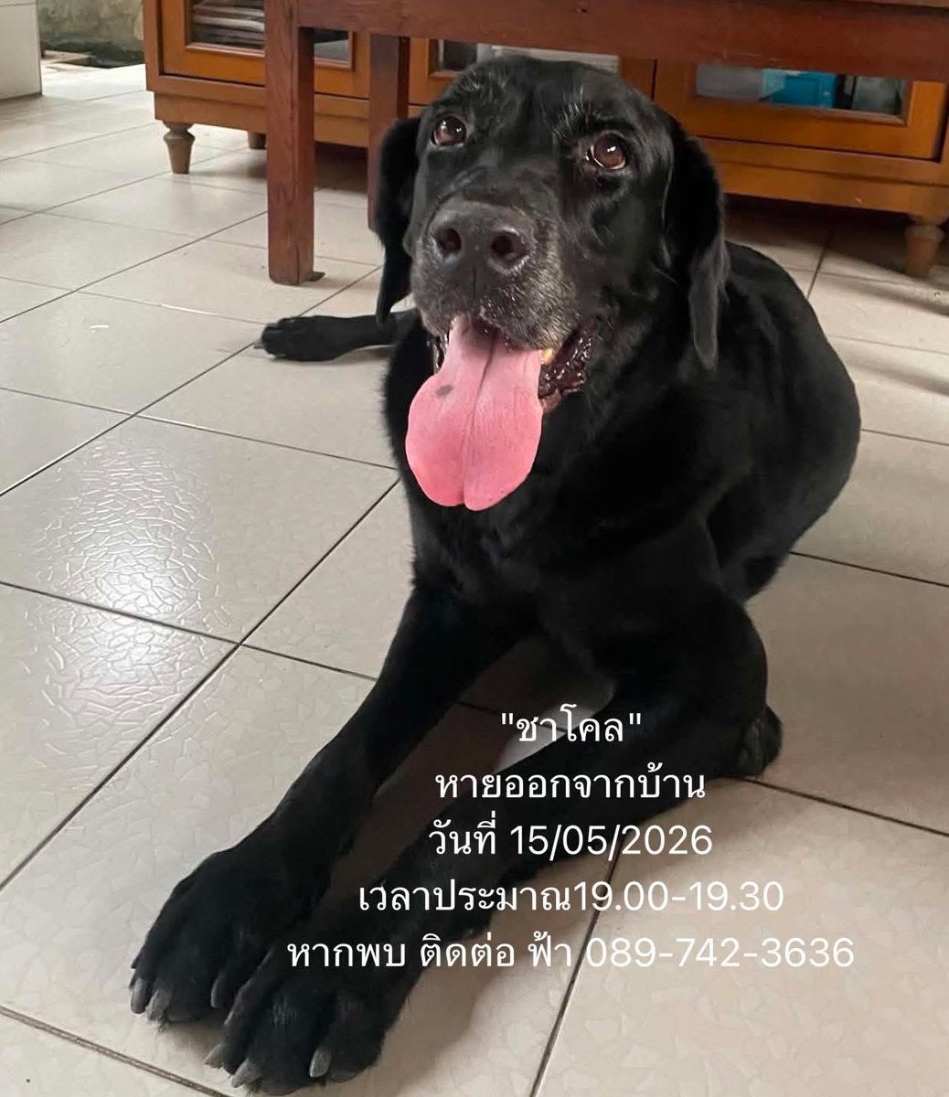 #หนัมว่าดี tweet media