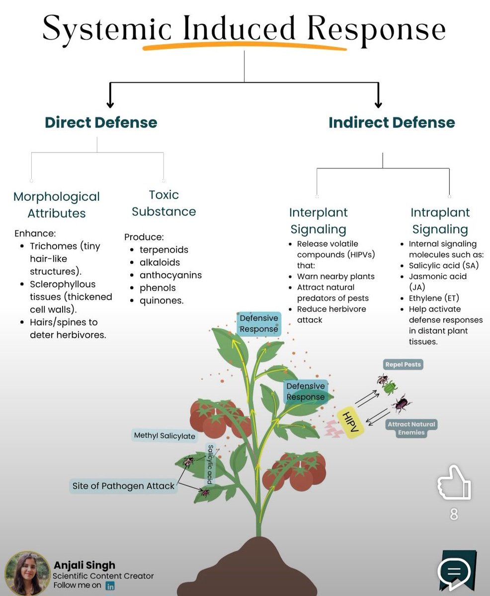 Seedbiotechlab's tweet photo. Survival of the fittest (The Resilience), key to withstand against stressss @gene_trait @CentreCemb https://t.co/DCasvMNyfU