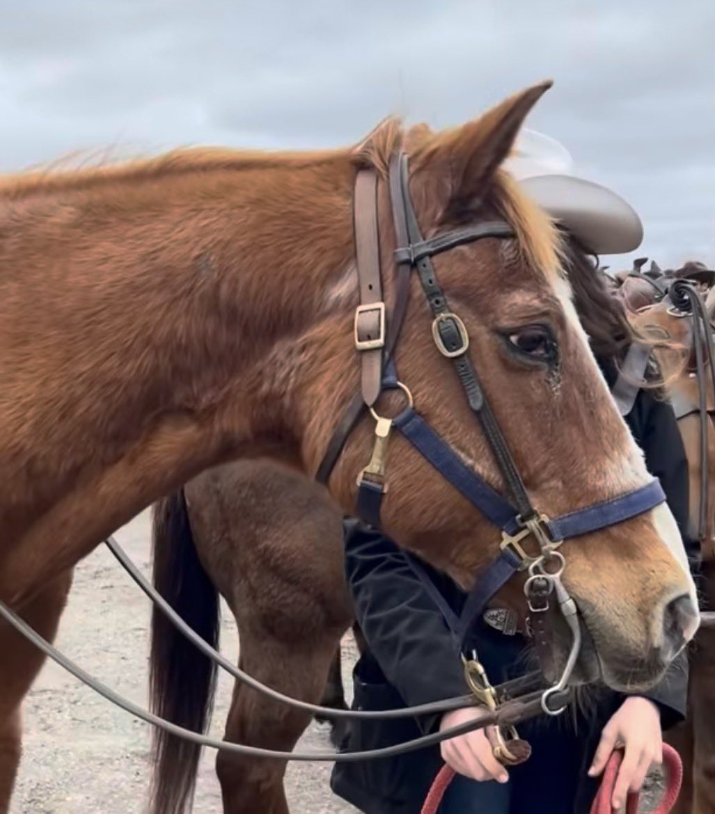 FitYourStyle's tweet photo. Saddle up! ⁣
⁣Today is day, the premiere of Dutton Ranch streaming on @ParamountPlusCA and we can't wait for YOU to experience it!⁣
⁣Until then, soak up the energy of the DR experience:             

Brand Partner https://t.co/UKw0MRrNOR