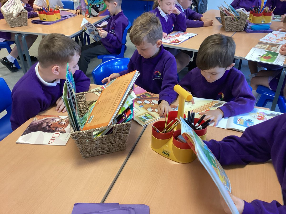 Year 2 Springwell🧡 tweet media