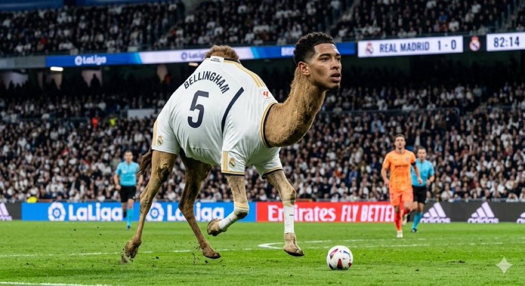 مدريديستا مرتد tweet media