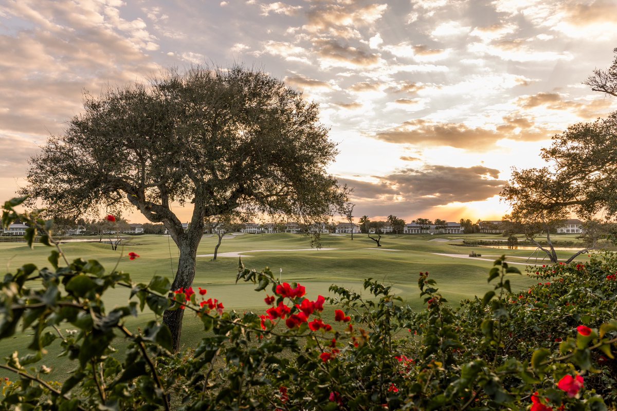 WindsorFlorida's tweet photo. “Never go too long without watching a sunset.” - Atticus

Photo by @VerolaStudio https://t.co/rK07Z6pFkQ