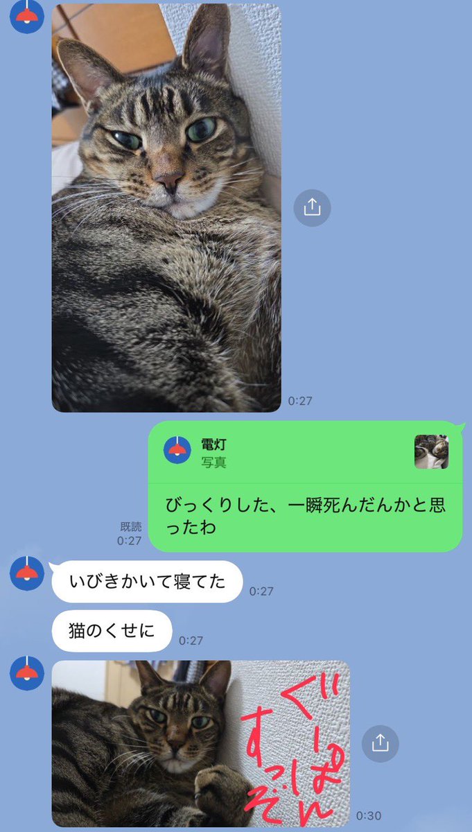 Heytaro2525's tweet photo. 母からの猫の報告LINEが謎 https://t.co/Nbg6ta9K2W