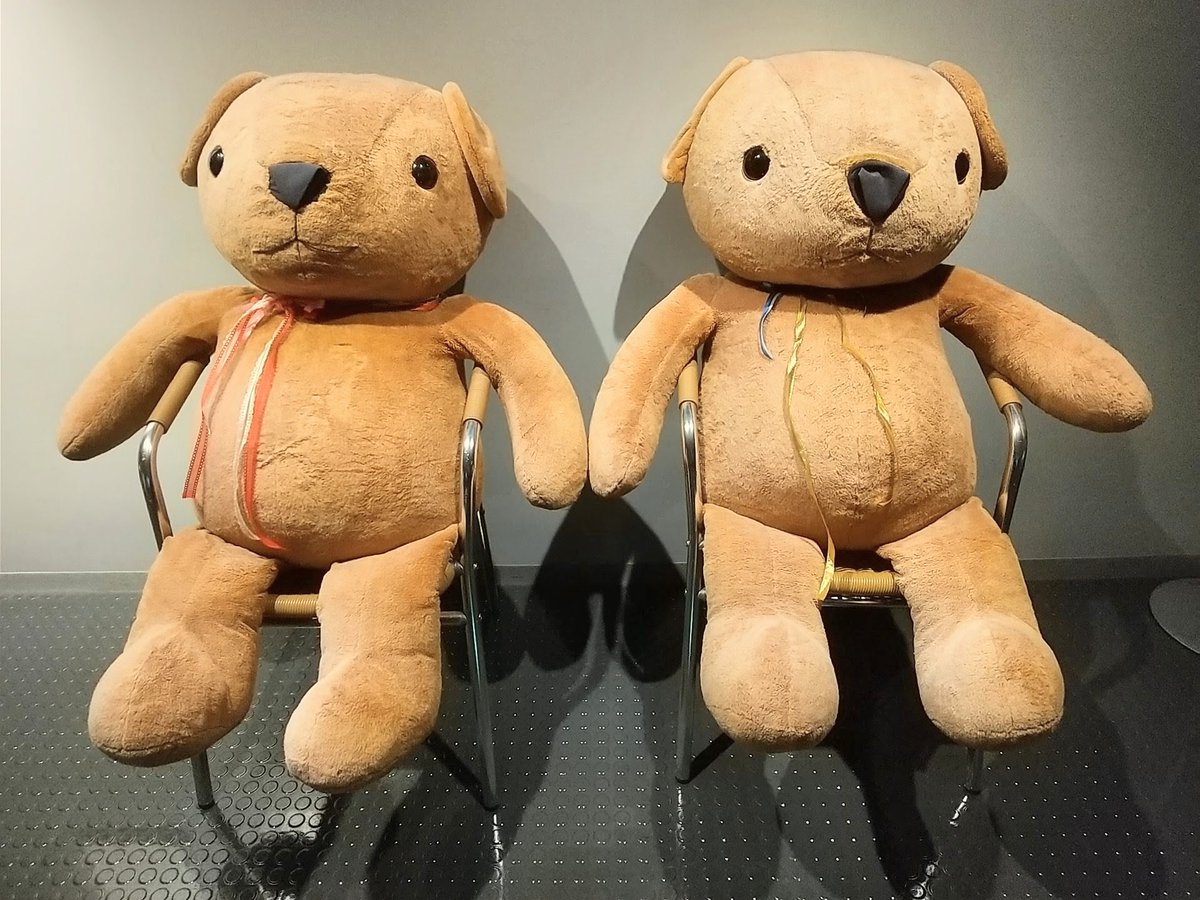 くまʕ。•ﻌ•。ʔꔛᰔᩚ。 お久しぶり！だった、新国クマさん達🐻🐻 今回はシンプルな装いだけど
