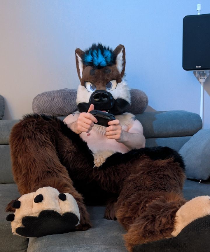 Aaron the Dog tweet media