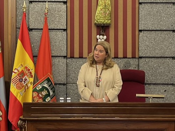Diario de Castilla y León tweet media