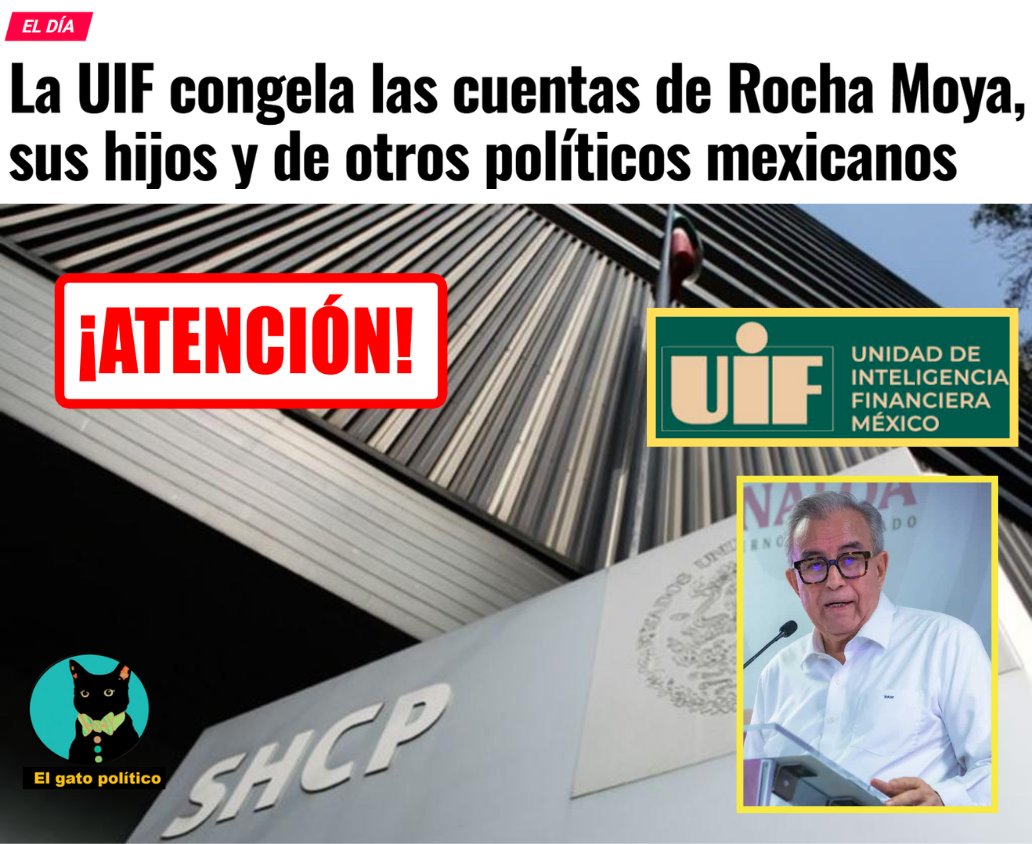 El gato político tweet media