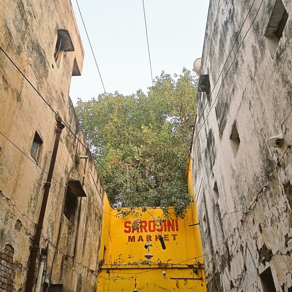 ritutripathiii's tweet photo. delhi. https://t.co/xmWwvkoHXW