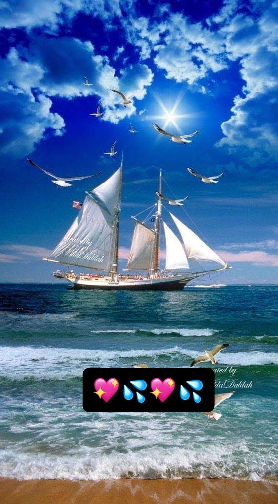 madiha915's tweet photo. @Zar43rar @Abbn_26 @AshrafParw26055 @Bortebey @nbea_h @Luna_Om90 @shZ447 @1259za @Da___Eliz @_MaryEly_ @_aditi_kumari_ @RobertPage68 @Soulriftu8 @M_Sial6 @MarcelaErcia @dreams_Bcn @PskDilek Thanks for supporting
have a beautiful evening
#TmGriffens
@Abbn_26
#SuperFriends
@nbea_h
#AlBarq
@Zar43rar
#EliFriends
@Da___Eliz
#GoodEvening
#WeekendAhead
💖💦💖💦💖💦💖 https://t.co/NokKdyhQlh