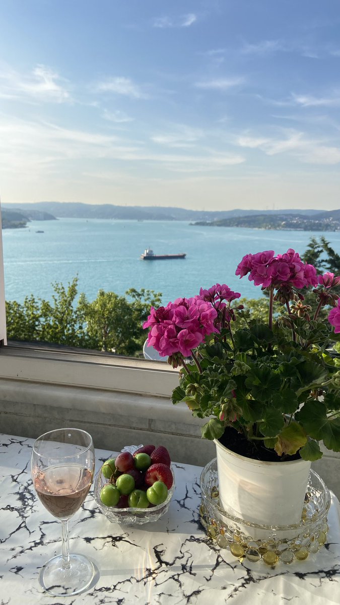 ayşebenn tweet media