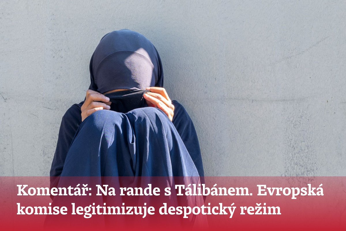 Deník N tweet media