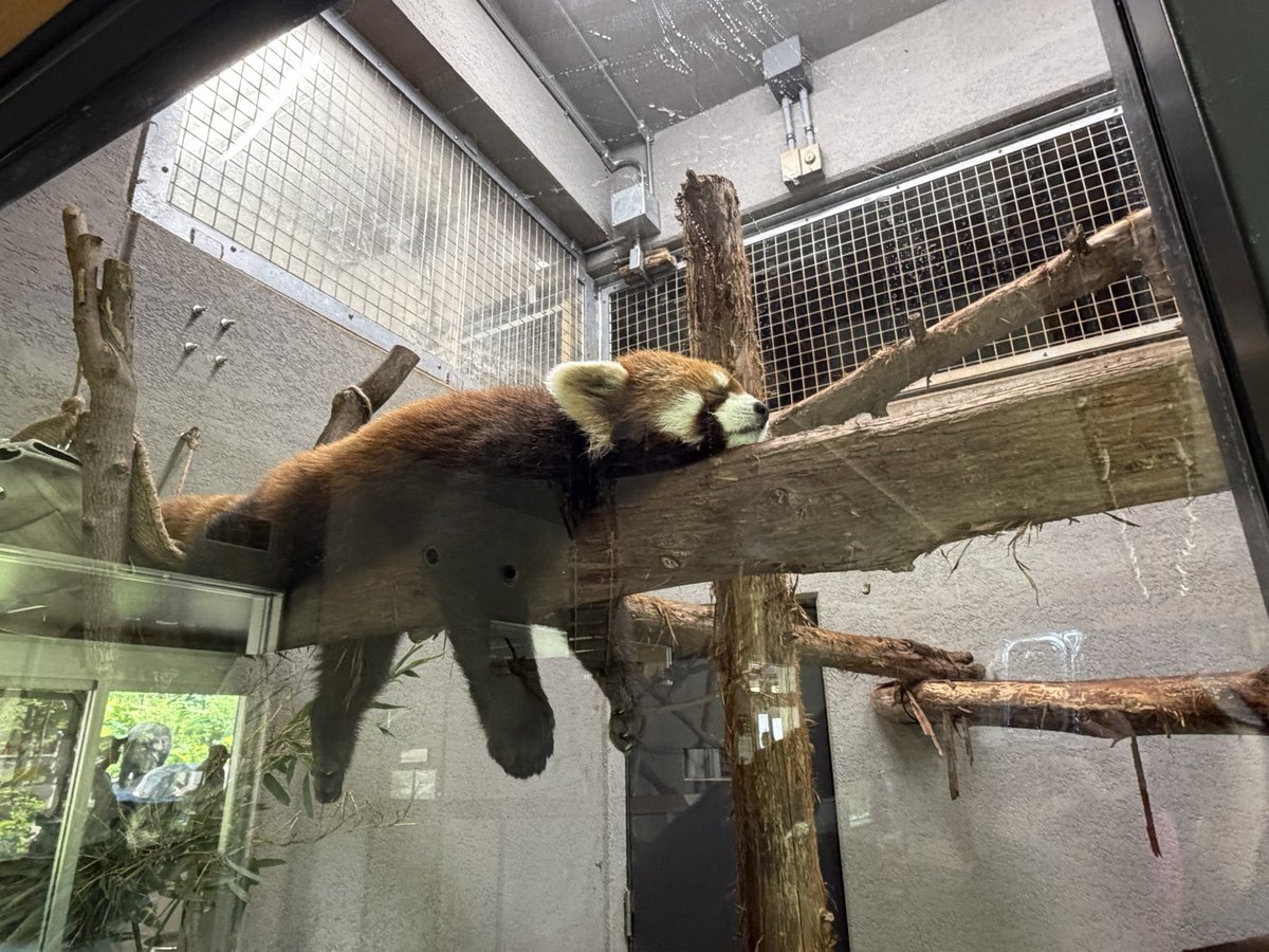 tonanaka_'s tweet photo. 動物園^^; https://t.co/8EcK9e74oQ