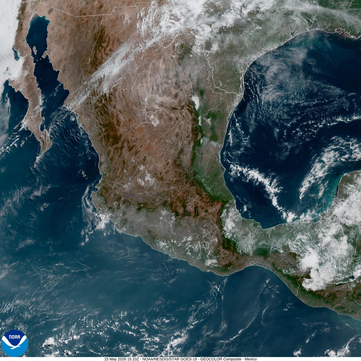 InfoMeteoro's tweet photo. ✅PRONÓSTICO VIERNES 15/MAY/2026

“Nos espera un día caluroso y con tormentas aisladas; fin de semana comenzarán a incrementar las lluvias…”

🌡️AMBIENTE DIURNO☀️
🔥41-45ºC Son, Sin, BCS, Nay, Mich, Gro
🥵36-40ºC noroeste, Pacifico, sureste, noreste
🥵31-35ºC norte, oriente, occidente, Bajío
😅25-30ºC centro

🌦️LLUVIAS/TORMENTAS C/GRANIZO
-NL, Zac, SLP, Ags, Jal, Mich, EdoMex, Mor, Gro, Ver, Oax, Chis, Camp, Yuc, QRoo

⚠️🌬️RÁFAGAS DE VIENTO km/h
35-60 estados del norte, centro, sureste y zonas de tormentas