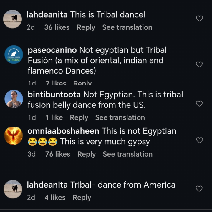 Ra_w1an00's tweet photo. Just saw a video on Instagram of a woman dancing Egyptian dance to Egyptian music, and in the caption it says “Egyptian bellydance,” but some commenters keep correcting it, saying it’s a tribal dance from the US 😂 https://t.co/0uthezoAwN