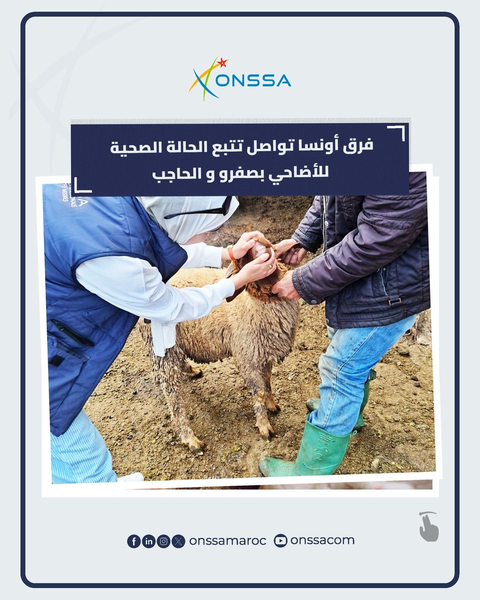 المكتب الوطني للسلامة الصحية للمنتجات الغذائية tweet media