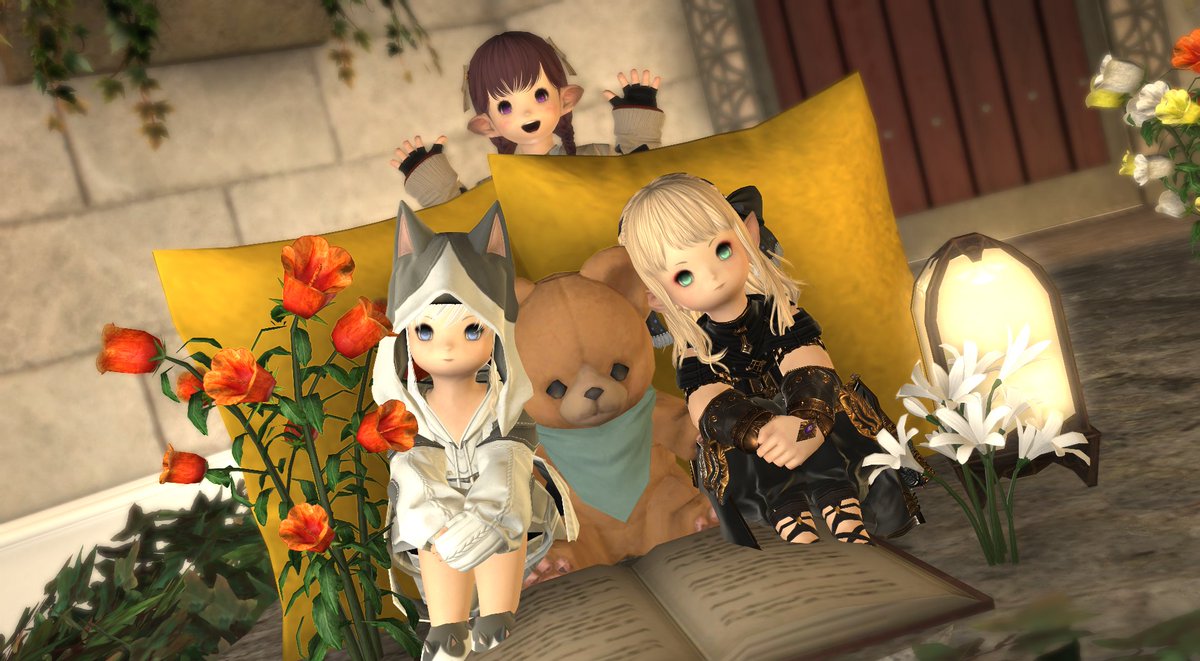 Alma_Landra's tweet photo. 🐻 https://t.co/KcQiHguq0H