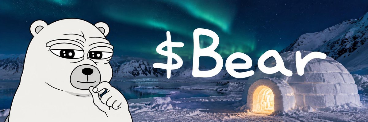 Bear 🐻‍❄️ tweet media