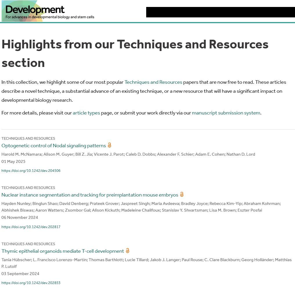 Development tweet media