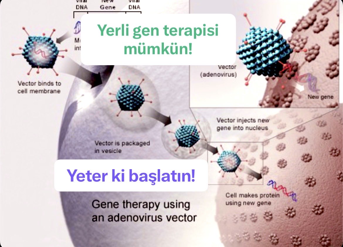hadiye_efe's tweet photo. @tusebgovtr @UmitKervan @sbuedutr @Dr_K_Aydin Hastalığın ilerlemesini durduracak genetik tedaviler, birer "istatistik" değil, çocuklarımız için "hayat" demektir. ⬇️⬇️⬇️

#DMDiçinAdımAtın https://t.co/fBctKyYSSX