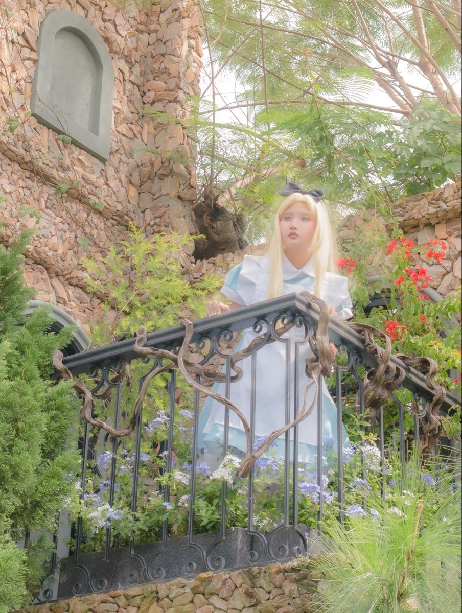 chukku_ismi's tweet photo. Màu ảnh yêu thích #alice #cosplay #aliceinwonderland #chukku https://t.co/U5e3Fdh85m