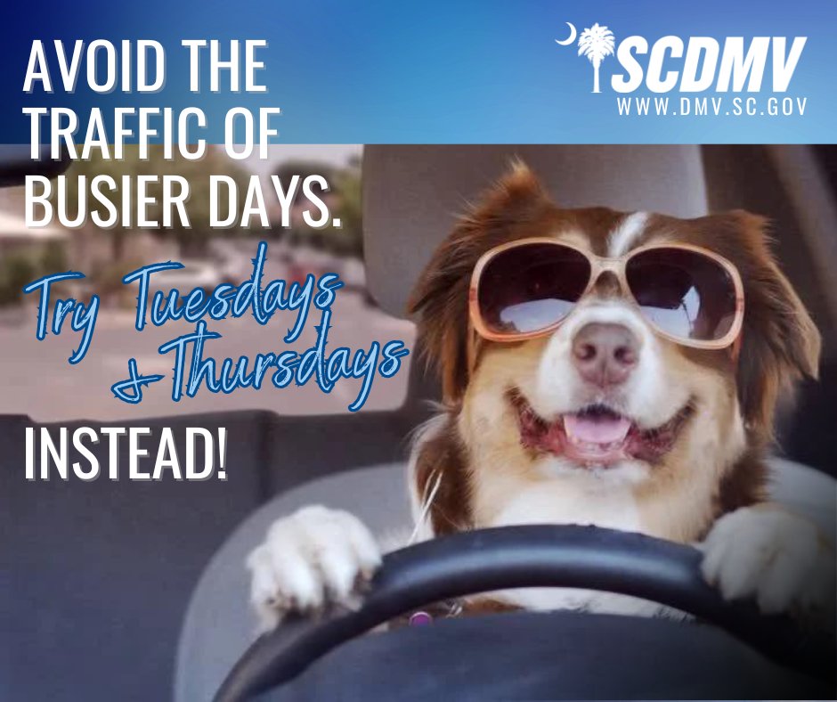 SCDMV tweet media