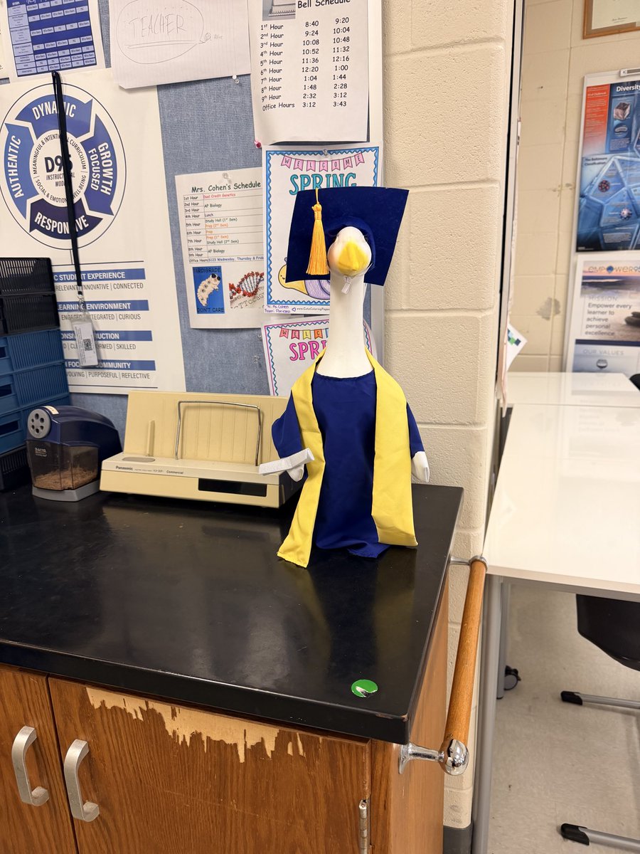 mckenna_serowka's tweet photo. The goose is ready to graduate! #WeAreLZ #LZNation #LZHSScience https://t.co/s8UJQk3C9x