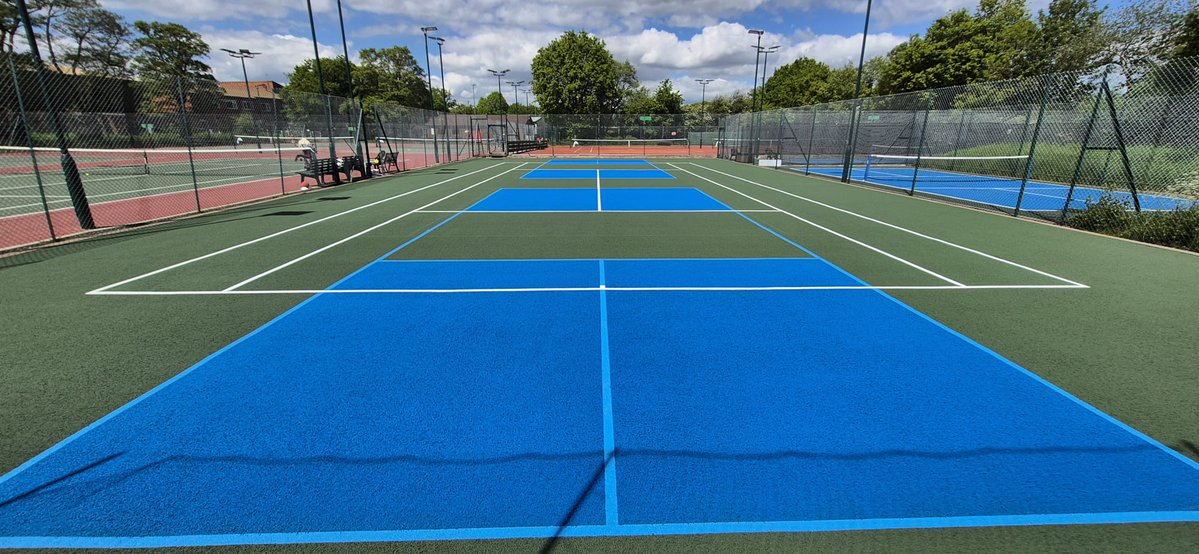 Sports Surfacing Sol tweet media