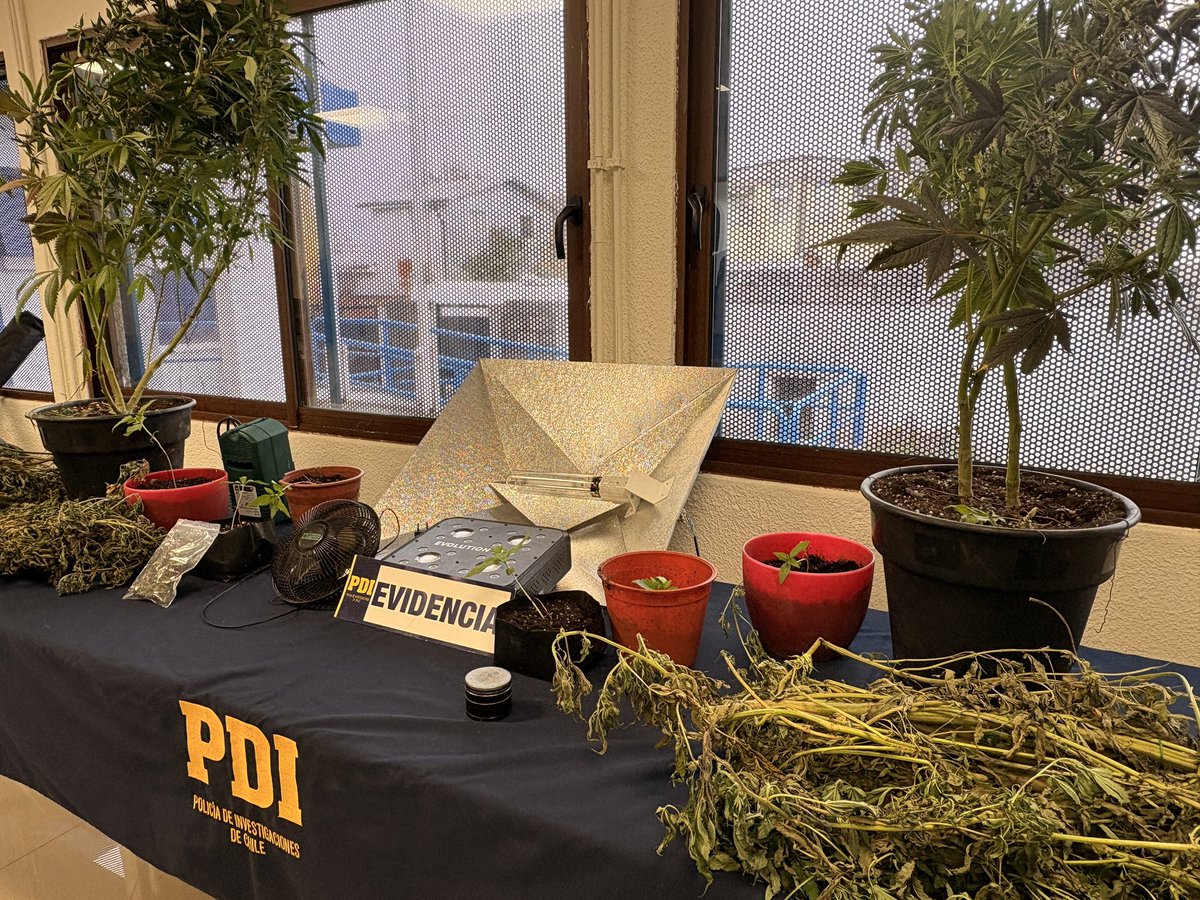 PDI_Araucania tweet media