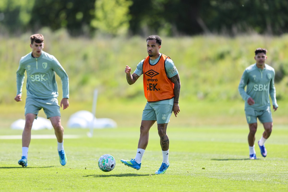 AFC Bournemouth 🍒 tweet media